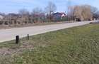 Teren intravilan de vanzare, 15500 m2, Localitatea Dascalu, Jud. Ilfov - 2