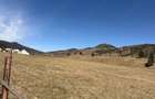TEREN INTRAVILAN DE VANZARE Ciocane?ti, jud. Suceava | 20.000 mp | Panorama montana excep?ionala - 5