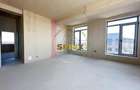 Penthouse de vanzare 242 mp totali Hils - 9