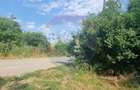 Teren intravilan de 1300 mp, în Balotești - 3