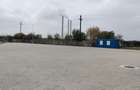 Spațiu industrial, de 2,560 mp, în Șagului - 4