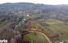 Teren de vanzare in comuna Valea Iasului, jude? Arge?. - 2