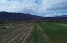 Teren Jiblea Noua Calimanesti - 5