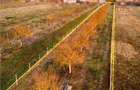 RECO Teren intravilan pentru loc de casa 5342 mp- sat.Hotar - 6