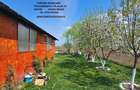 Casă cu 3 camere cu Teren 1500 Mp în Roznov - 17