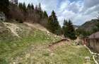 Teren de 6000 mp, în Dâmbovicioara - 5