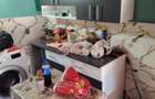 Casă cu 4 camere cu Teren 237 Mp în Drumul Taberei - 1