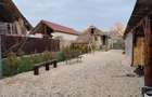 Casă cu Teren 3000 Mp în Grânari - 2