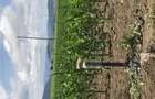 8800 mp arabil Dumbrava Rosie Neamt - 3