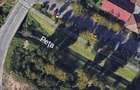 Teren intravilan de 5000 mp, în Nufărul - 1