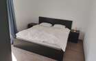 Apartament cu 2 camere semidecomandat în Tineretului - 11