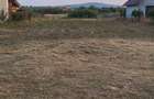 Teren Construcții intravilan de 1636 mp, în Alparea - 1