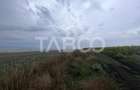 Teren de vanzare extravilan 30000 mp 60 ml deschidere Sura Mare Sibiu - 3