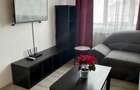 Apartament 2 camere cu gradina Editurii - Lunca Cetatuii - 3
