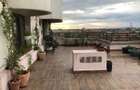 VAND Apartament UNICAT ultracentral Oradea-107 mp utili, terasa 65 mp - 1
