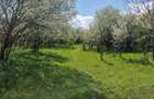 Vand teren intravilan - 7