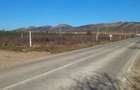 Teren de 900 mp, în Mahmudia - 5