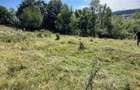 Teren 3.552 mp de vanzare (scrie pe whatsapp) Marginea, zona Dealu Fatului - 1