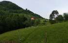 De vanzare teren 6500 m2 in sat Magura jud brasov la principala - 5