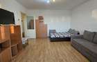 Apartament generos cu 1 camera de inchiriat | Calea Aradului Oradea - 13