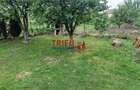 Casă individuală cu 4 camere cu Canalizare în Cetate - 15