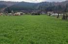 Vindem teren in Vatra Moldovitei - Bucovina - 7