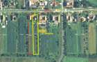2 Case in Herendesti, la 7 km de Lugoj - 3