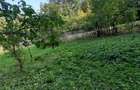 Teren vanzare Prahova - Pietriceaua - 3