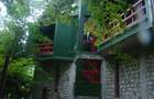 Casă individuală cu 15 camere cu Teren 1857 Mp în Lepșa - 4