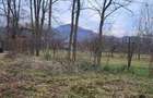 Teren intravilan 2.200 mp Unguriu/Buzau - 2