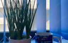 Apartament cu 2 camere în Năvodari Tabără - 3