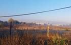 Inchiriez  teren 5000mp  Buc Măgurele, nr:236 stradal Sector 5 pentru 4500 EURO - 5
