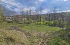 BREBU intravilan 1800 mp, deschidere 29 ml, doar 16.900 - 6