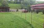 Teren - livada 6500 mp cu o cabana - 3