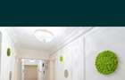 Inchiriez apt. doua cam. - 3