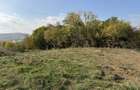 Teren de 1521 mp, în Băiculești - 3