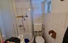 RECO Teren mare cu 2 case in Sabolciu, com. Sacadat - 10