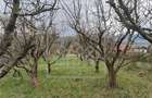 Casa si teren de vanzare in Sacel - 1355 mp teren - livada - Central - 6