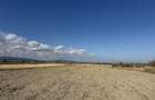 Teren extravilan Campineanca ( la iesire spre Carligele)3000 mp - 1