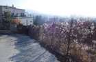 vanzare teren constructii cart Grigorescu - 3
