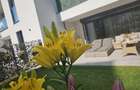 Apartament cu 3 camere decomandat în Băneasa - 19