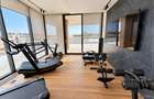 Penthouse spectaculos in Baneasa Residence - 4