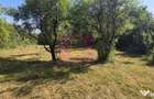 Teren intravilan de vanzare 3375 mp in Brebu - Brebu (Prahova)