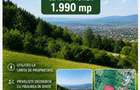 Teren de vinzare Poiana Cimpina sat Ppietris jud ph - 2
