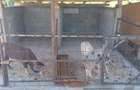 Casa la rosu renuntare proiect,,.pentru mai multe detalii 0755627407 - 1