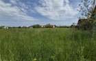 Teren Intravilan - Zona Bod - 5