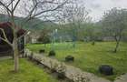 Vila in Dubova, langa Dunare, teren 1361 mp - 9