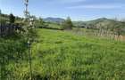Intravilan , Manastirea Humorului, Bucovina! - 5