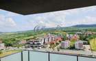 Apartament cu 2 camere semidecomandat în Bună Ziua - 11