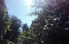 Casă cu 2 camere cu Teren 360 Mp în Timișoara - 11